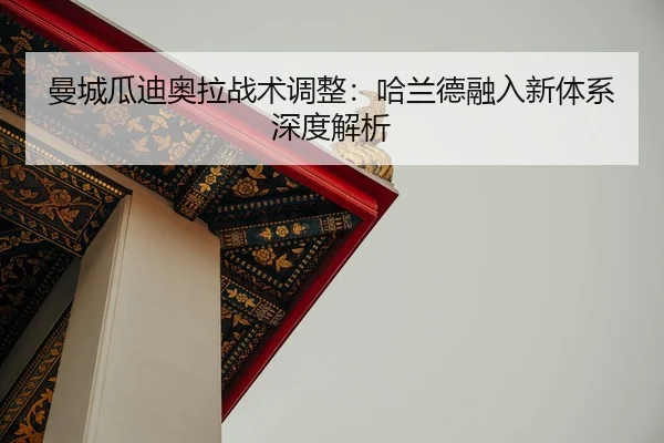man-cheng-gua-di-ao-la-zhan-shu-tiao-zheng-ha-lan-de-rong-ru-xin-ti-xi-shen-du-jie-xi-2-268.jpg